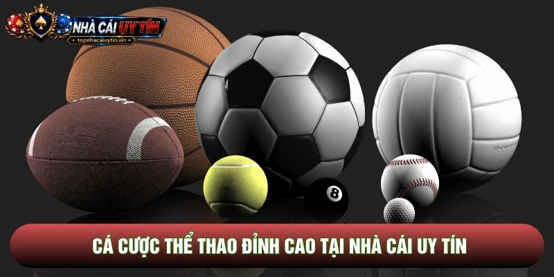 Cá cược thể thao đỉnh cao tại nhà cái uy tín Cá cược thể thao đỉnh cao tại nhà cái uy tín