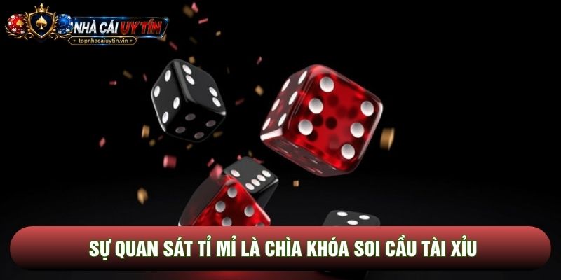 Sự quan sát tỉ mỉ là chìa khóa soi cầu tài xỉu Sự quan sát tỉ mỉ là chìa khóa soi cầu tài xỉu