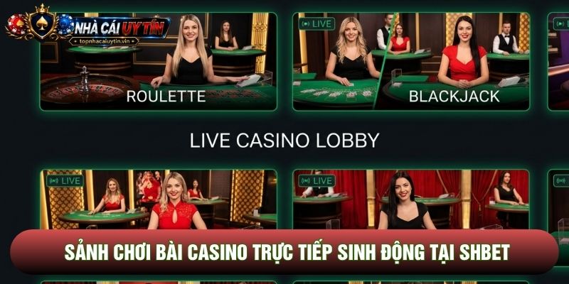 Sảnh chơi bài casino trực tiếp sinh động tại Shbet Sảnh chơi bài casino trực tiếp sinh động tại Shbet